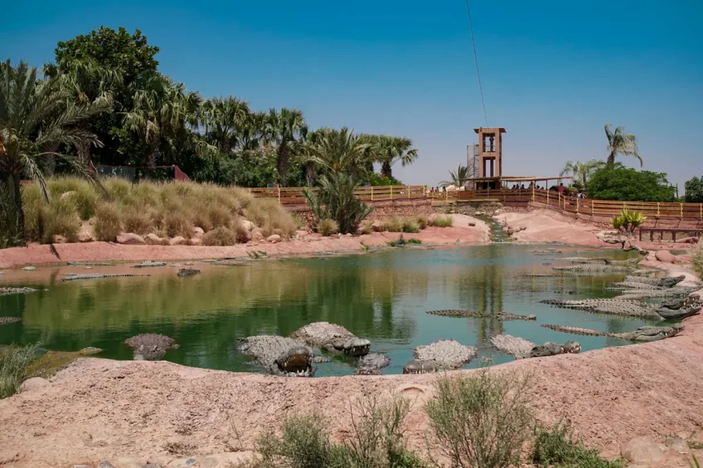 agadir crocoparc tour