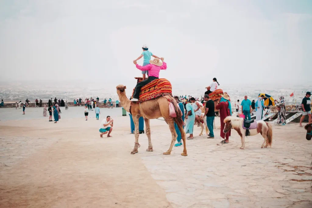Camel ride in Agadir Oufella