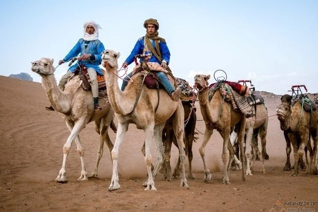camel trekking from marrakech