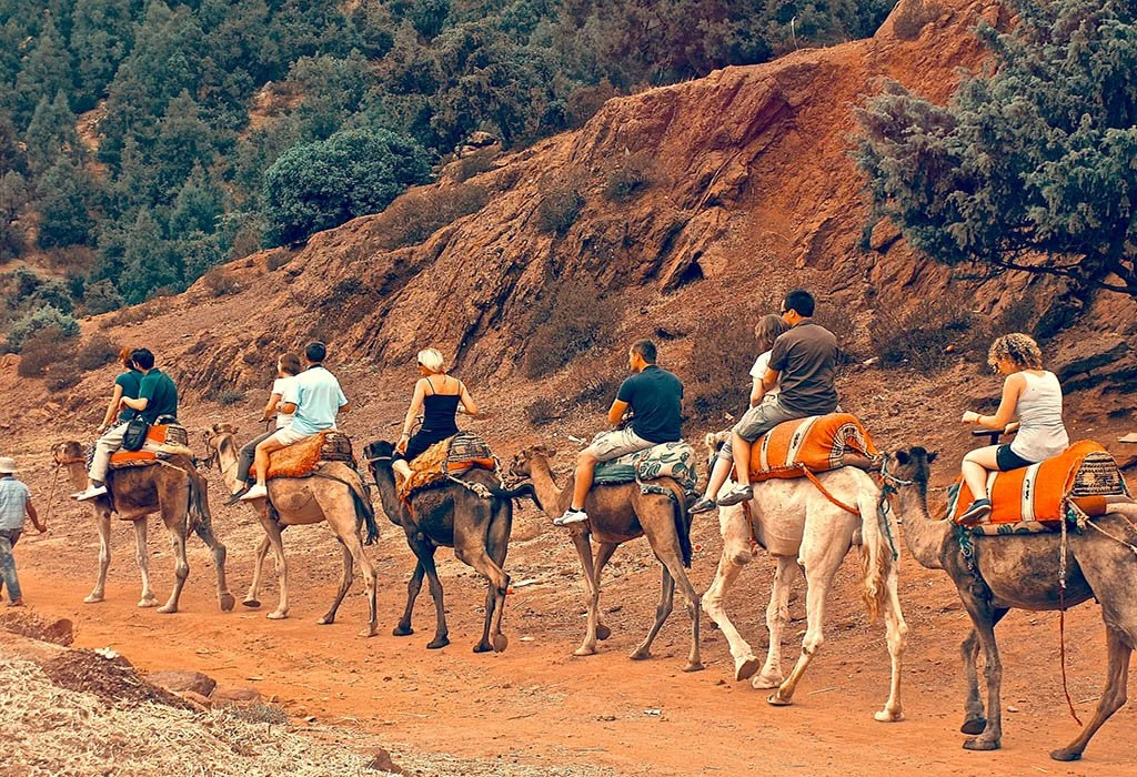 day trip to atlas mountains from marrakech