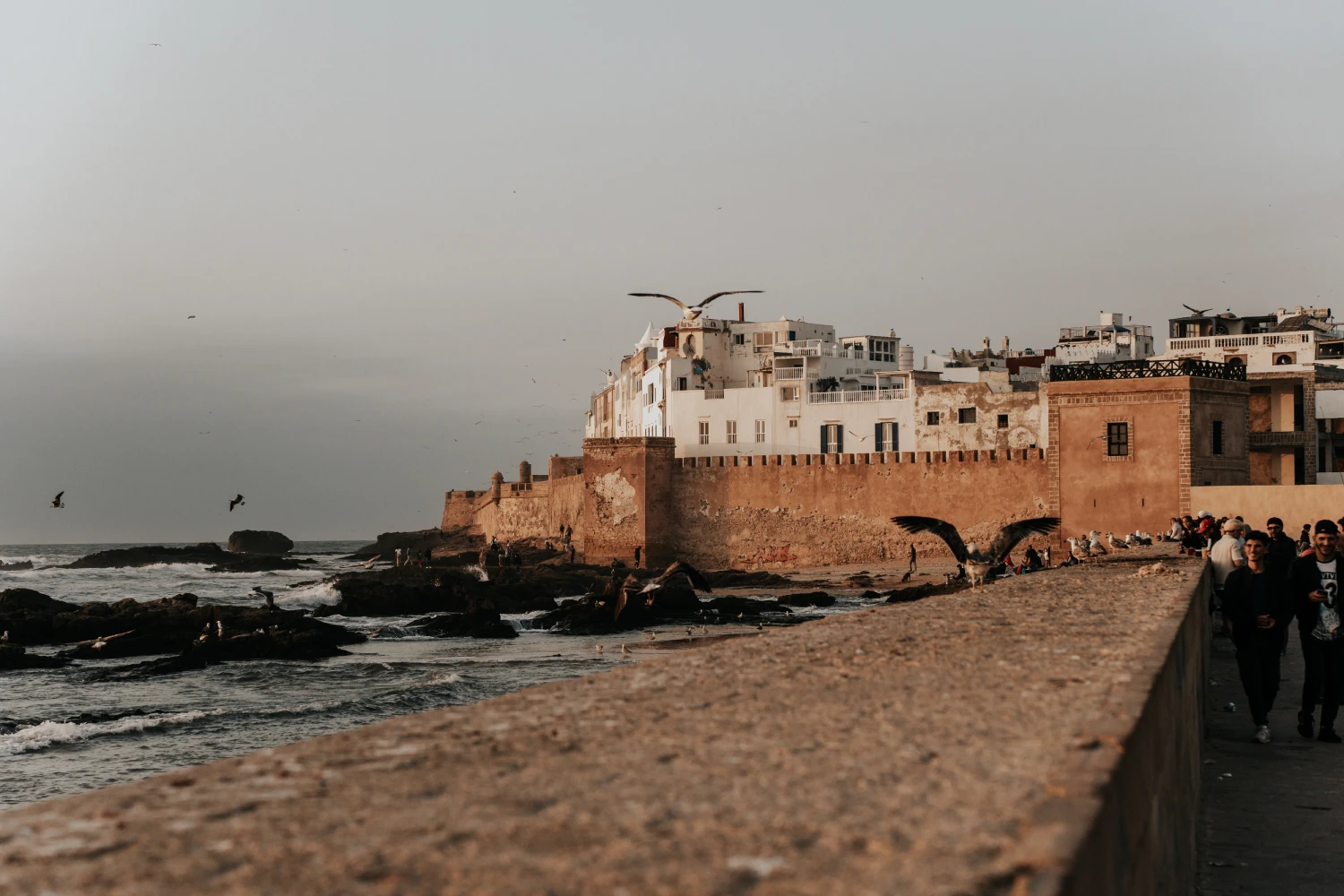 Excursión de Marrakech a Essaouira por la costa atlántica