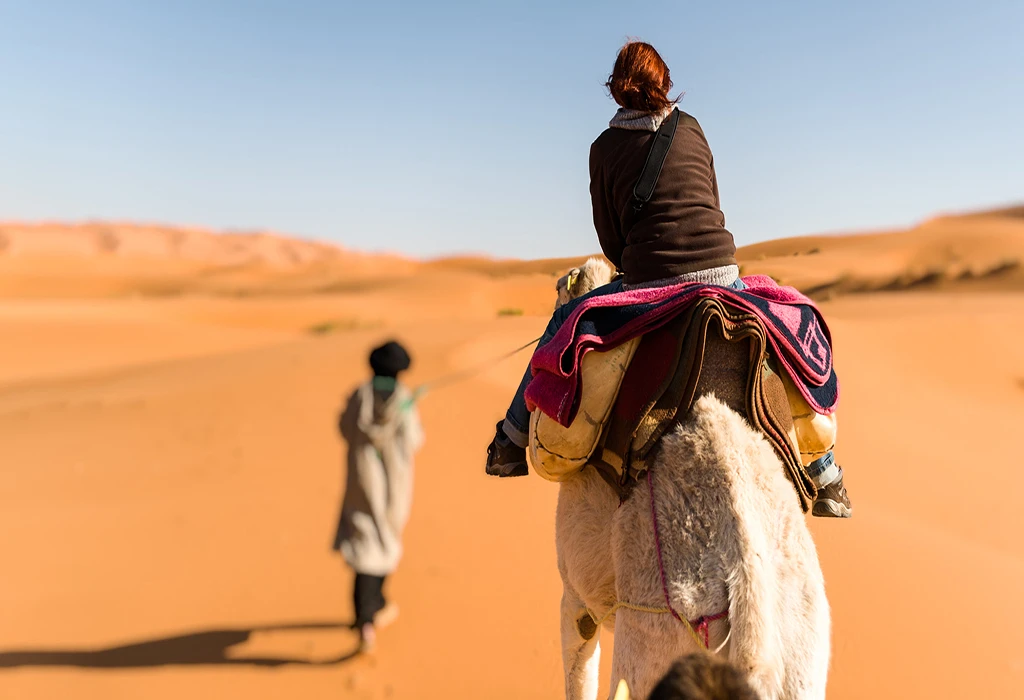 fez to marrakech desert tour
