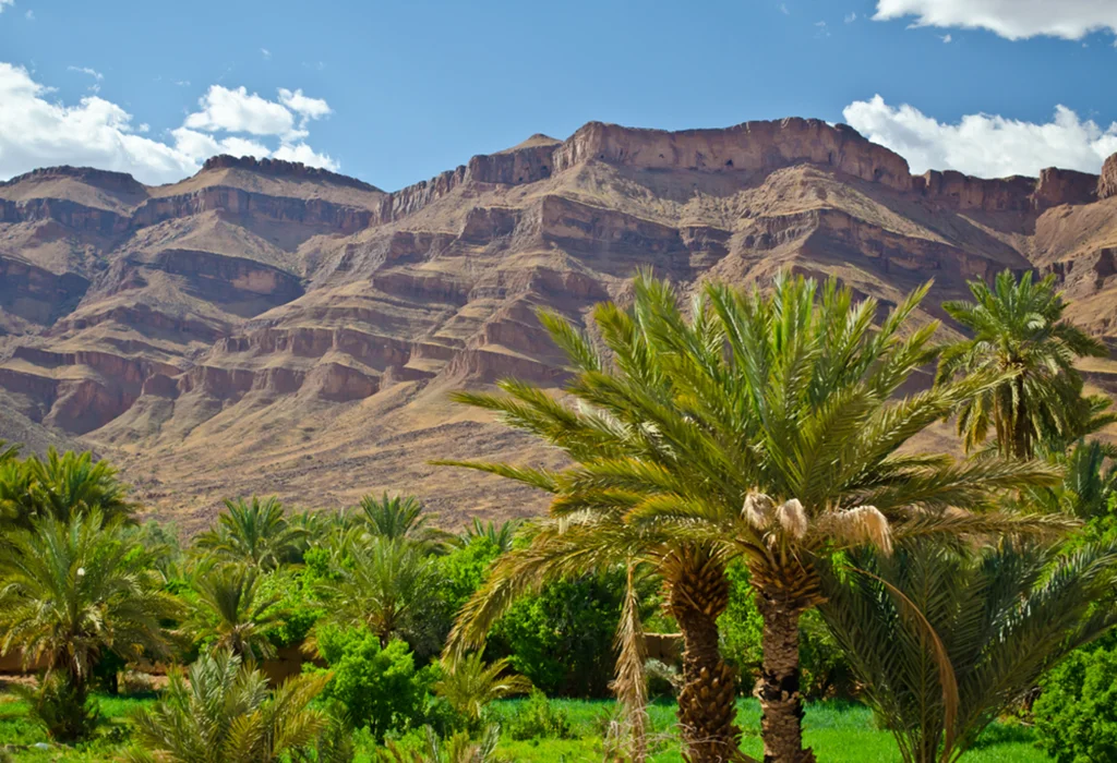 fint oasis berber village ouarzazate