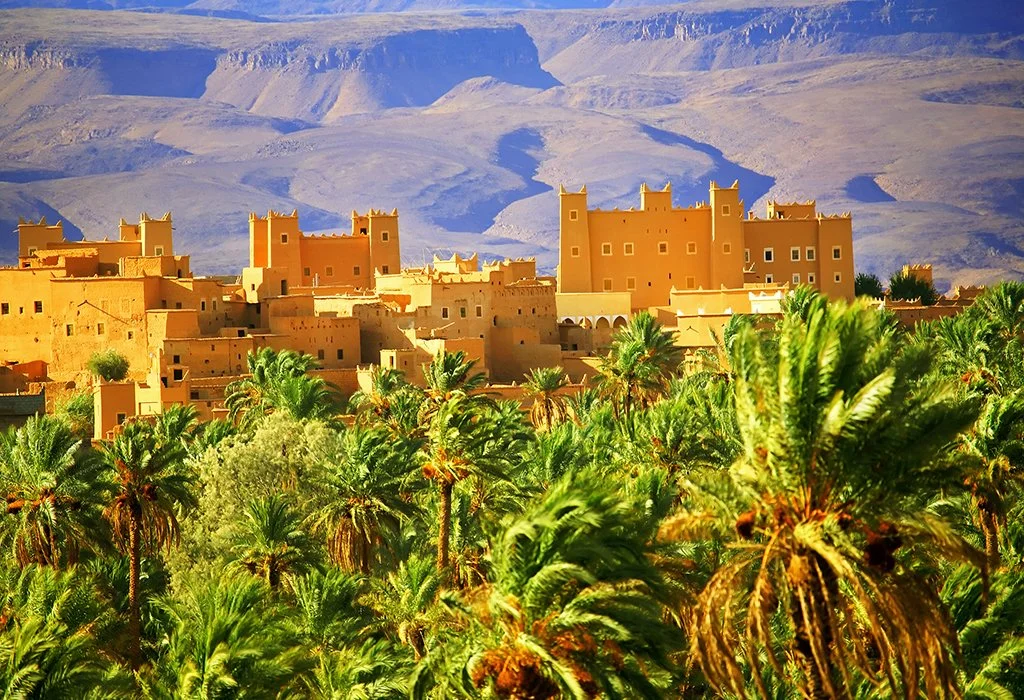 fint oasis trip from ouarzazate