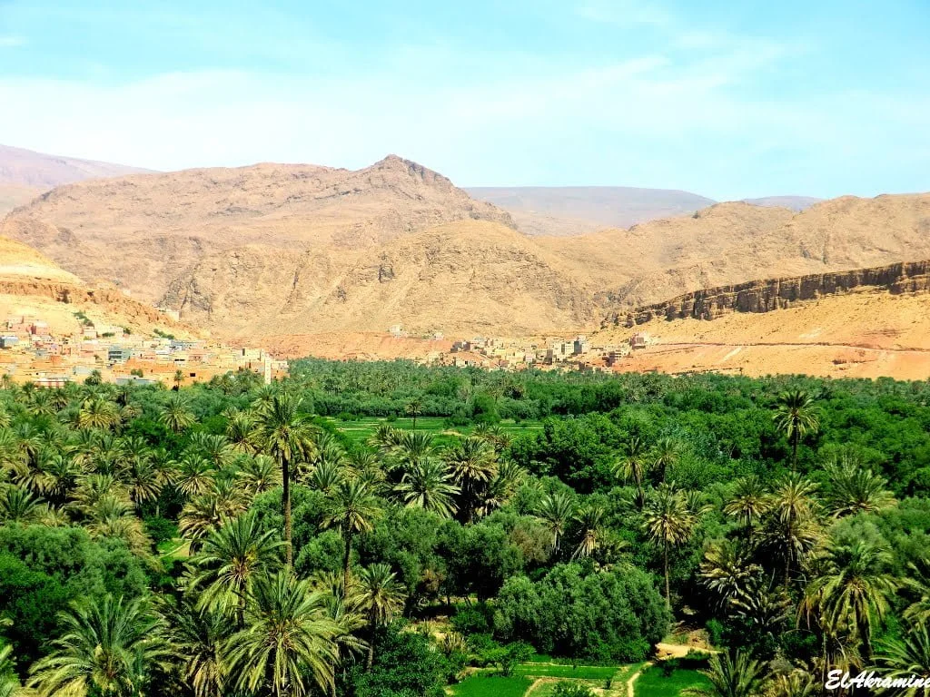 Lush oasis surrounded by mountains.
