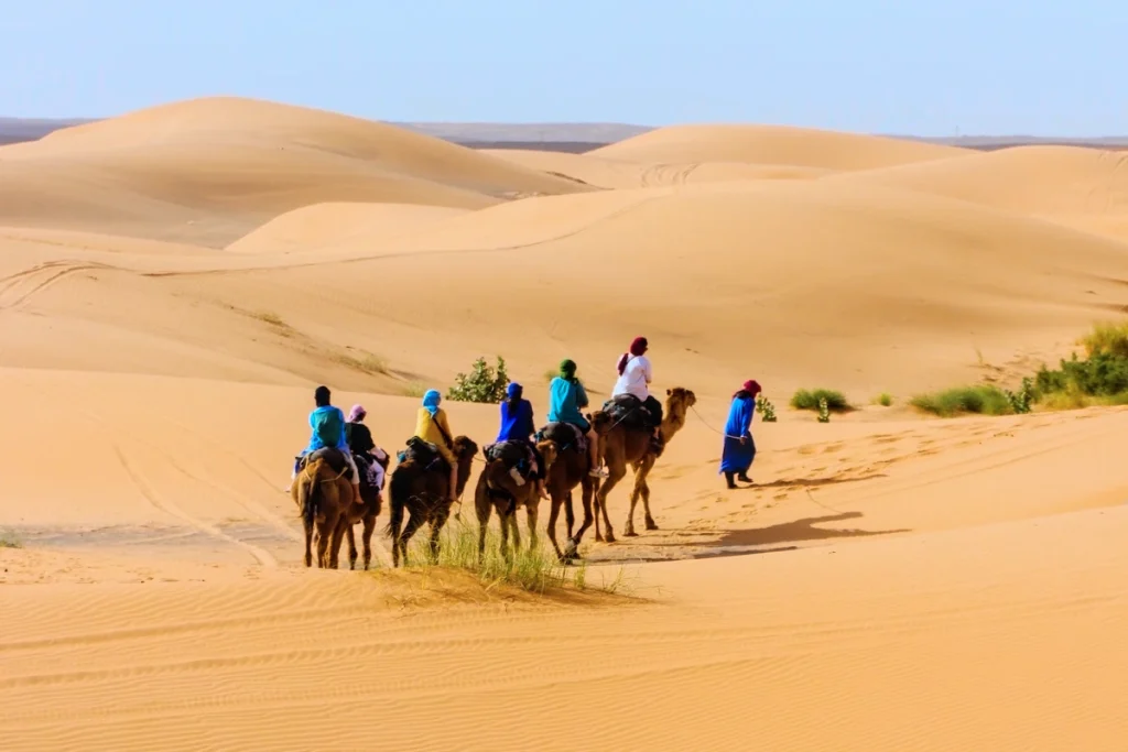 merzouga desert tour from marrakech