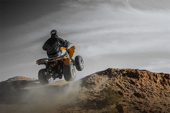 Off-road quad biking experience in Marrakech palm grove