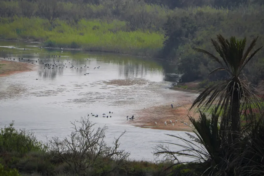 Ouad Sous Agadir