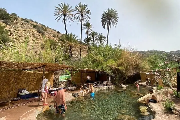 Palm trees growing across the dry Paradise Valley landscape