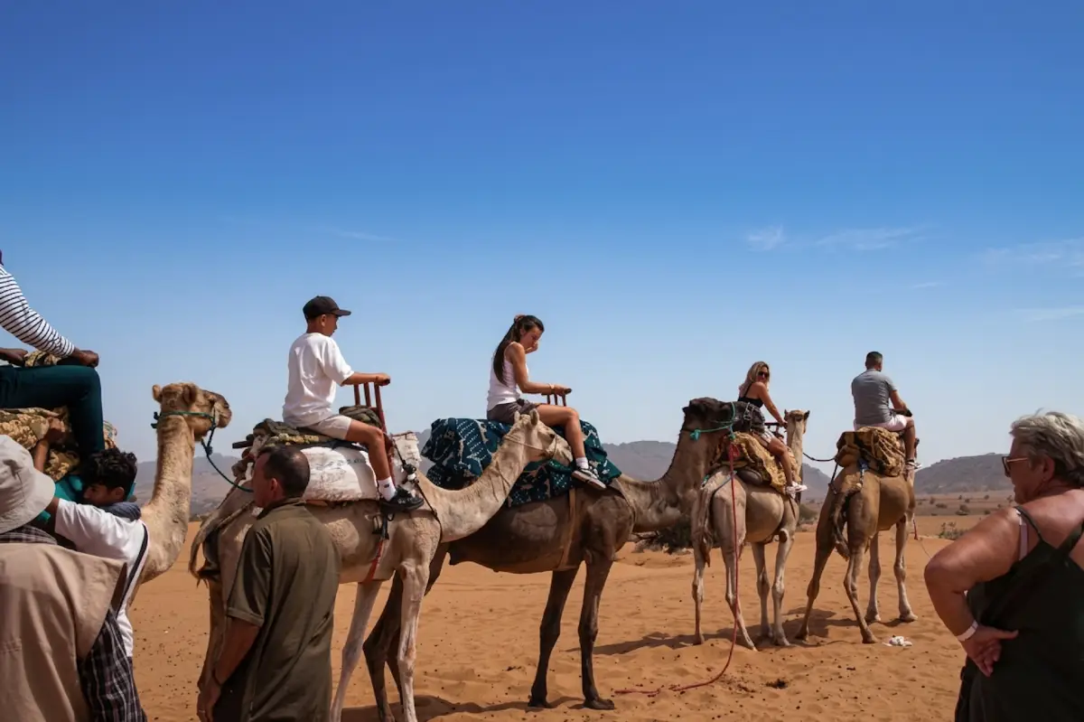 Paseo en camello, cena y espectáculo Gnaoua en Agadir